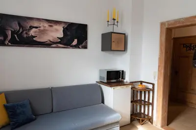 TV/Unterhaltungsangebot in der Unterkunft Ferienwohnung am Kurpark Ostrau