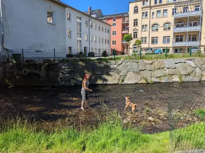 Ein Garten an der Unterkunft UO3 - Urlaubsmagie- Urlaubsoase mitten in Sebnitz