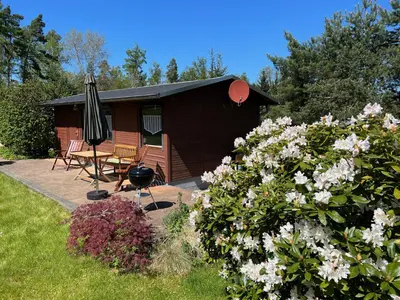 Ein Garten an der Unterkunft Berghütte Gohrisch (Sächsische Schweiz)