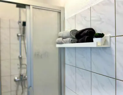 Ein Badezimmer in der Unterkunft Elbling Apartment mit Terrasse - Netflix - Parkplatz - Weinbergblick