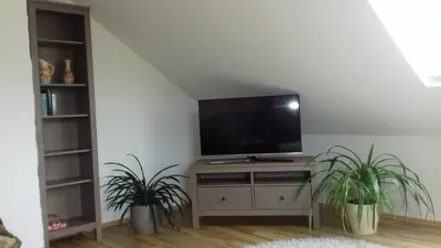 TV/Unterhaltungsangebot in der Unterkunft Haus am Park Nahe Eilenburg Wurzen