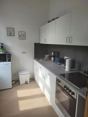 Küche/Küchenzeile in der Unterkunft Ferienwohnung Rote-Villa 2