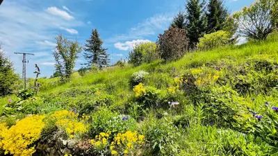 Naturlandschaft in der Nähe des Ferienhauses