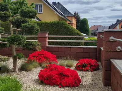 Ein Garten an der Unterkunft Ferienwohnung *Zur Weinbergstraße*