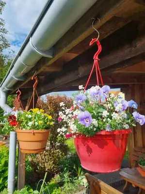 Ein Garten an der Unterkunft Ferienwohnung *Zur Weinbergstraße*