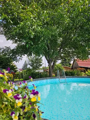 Der Swimmingpool an oder in der Nähe von Ferienwohnung *Zur Weinbergstraße*