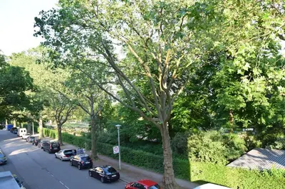 Grundriss der Unterkunft Schöne Wohnung in Dresden - Neustadt