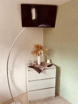 TV/Unterhaltungsangebot in der Unterkunft Ferienhaus Lavendel