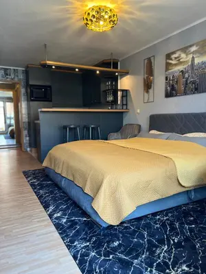 Ein Bett oder Betten in einem Zimmer der Unterkunft Apartment Studio Green line