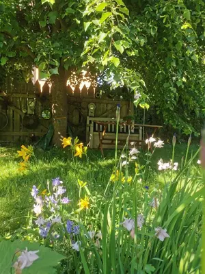 Ein Garten an der Unterkunft Gartenwohnung Paulsdorf