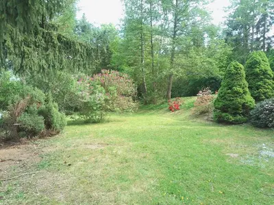 Ein Garten an der Unterkunft Haus Gaia