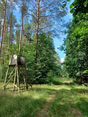 Grundriss der Unterkunft Waldblick