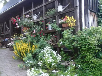 Ein Garten an der Unterkunft Urlaub auf dem Bauernhof