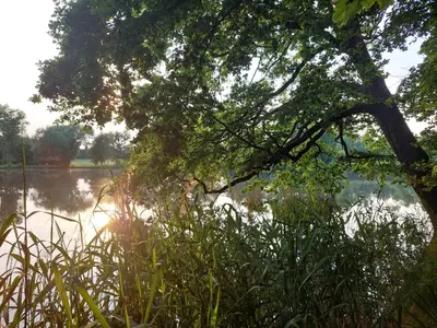Naturlandschaft in der Nähe der Ferienwohnung