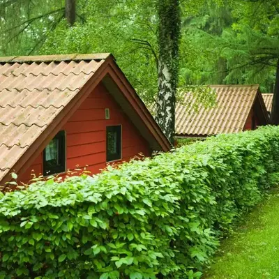 Waldidylle - Bungalows an der Talsperre Kriebstein