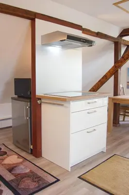 Küche/Küchenzeile in der Unterkunft Apartment Traumzeit mit Balkon in Vorstadtvilla