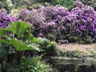 Grundriss der Unterkunft Parkresidenz Flora