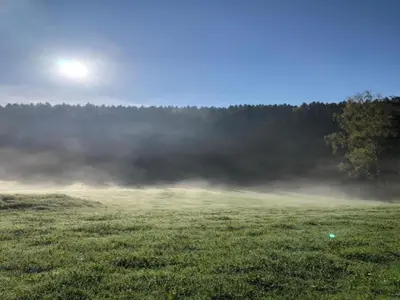 Naturlandschaft in der Nähe der Ferienwohnung
