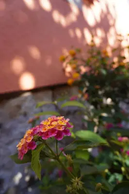 Ein Garten an der Unterkunft Ferienwohnung Ufer - Urlaub in der Sächsischen Schweiz