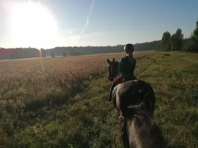 Reiten in der Ferienwohnung oder in der Nähe