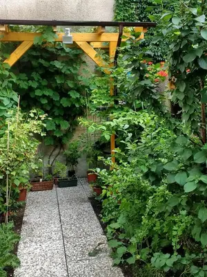 Ein Garten an der Unterkunft Kleine Apartments
