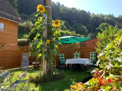 Ein Garten an der Unterkunft Ferienwohnung am Bächelweg