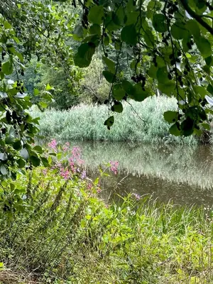 Naturlandschaft in der Nähe der Ferienwohnung
