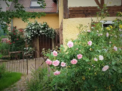 Ein Garten an der Unterkunft Fachwerkhof Klosterbuch