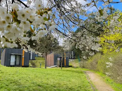 Ein Garten an der Unterkunft Hafencamp Senftenberger See