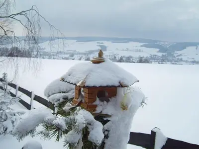 Holiday home by the forest im Winter