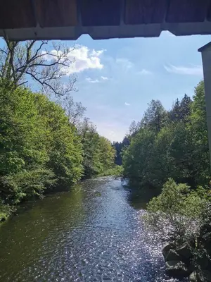 Naturlandschaft in der Nähe der Ferienwohnung
