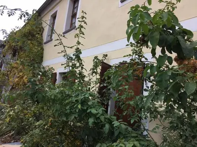 Ein Garten an der Unterkunft Erholen im Kranichhof, Garten, Sauna - Nähe Heide