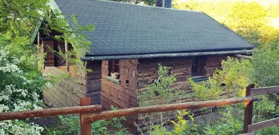 Ein Garten an der Unterkunft Wolfsgrund 14