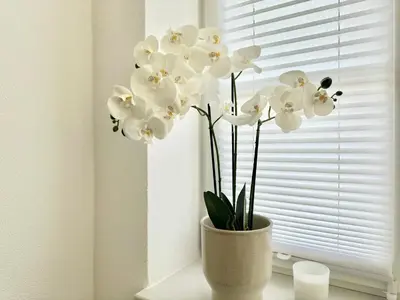 Grundriss der Unterkunft Modernes Appartement 