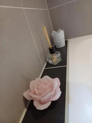 Grundriss der Unterkunft Ferienwohnung Krokus
