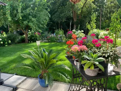 Ein Garten an der Unterkunft Romantik Idyll am Tiefental