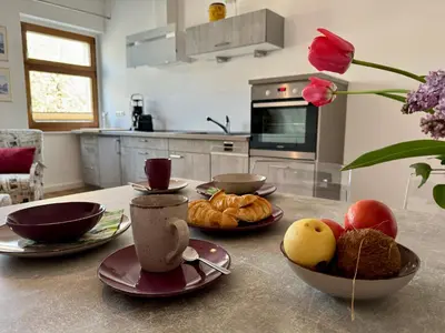 Küche/Küchenzeile in der Unterkunft Apartment im Elbtal Dresden, Meißen, Moritzburg