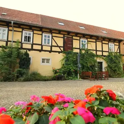 Zu Gast bei den Zaungästen
