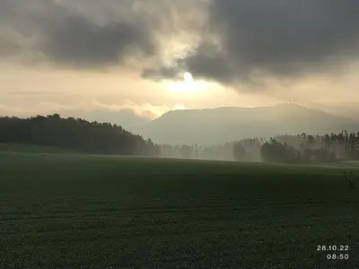 Naturlandschaft in der Nähe der Ferienwohnung