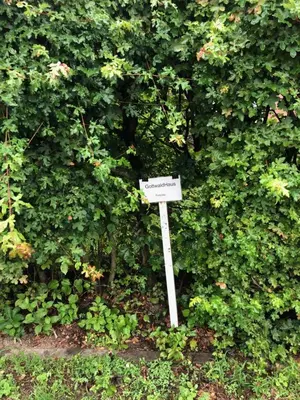 Ein Garten an der Unterkunft GottwaldHaus-Freiberg-Apartment E