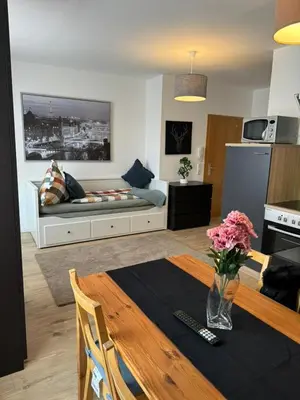 TV/Unterhaltungsangebot in der Unterkunft Apartment, 2P, WiFi, Küche, modern, ruhig, zentral