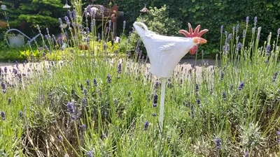 Ein Garten an der Unterkunft Ferienhaus zur Dorfbachklamm