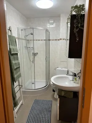 Ein Badezimmer in der Unterkunft Charmante Zentrale 2 Raum Wohnung