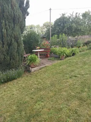 Ein Garten an der Unterkunft Ferienwohnung Einsiedel