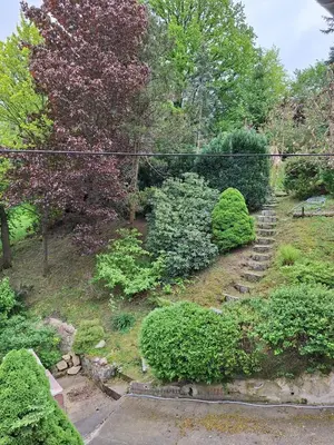 Ein Garten an der Unterkunft Haus am Berg