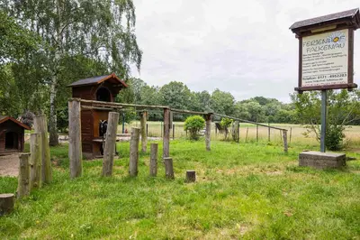 Ein Garten an der Unterkunft Ferienhof Falkenau