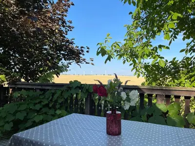 Ein Garten an der Unterkunft Ferienwohnung mit Sonnenterrasse, Monteursunterkunft, Gästewohnung