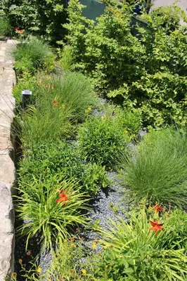 Ein Garten an der Unterkunft Ferienwohnung in der Kraxlhütte Waltersdorf