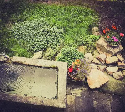 Ein Garten an der Unterkunft Schwalbenhof