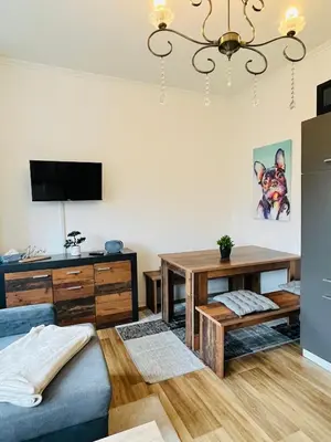 TV/Unterhaltungsangebot in der Unterkunft Gemütliches Altbauapartment I